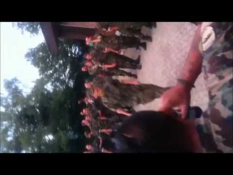 Youtube: Swiss Armed Forces can dance