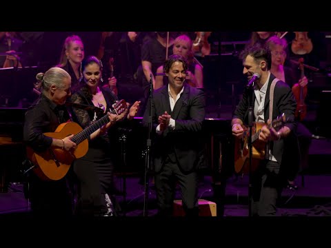 Youtube: The Cat Empire - Bird In Paradise  (Live at Sydney Opera House) (Official Live Video)