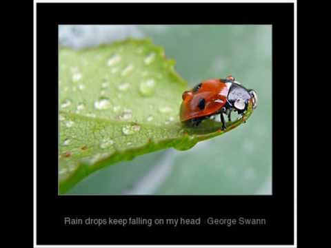 Youtube: Raindrops keep falling on my head