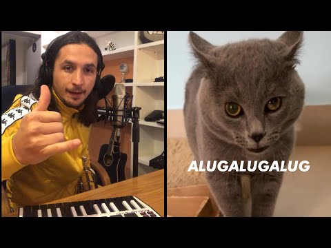 Youtube: The Kiffness X Alugalug Cat 2.0 (Please Go Away)