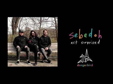 Youtube: Sebadoh - follow the breath