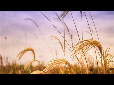 Youtube: Schiller  //  Morgenland