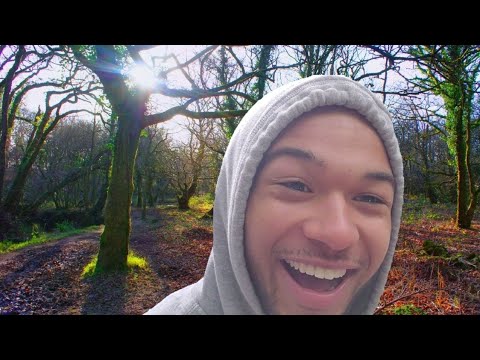 Youtube: My First LSD Trip | Intense Hallucinations On 300 ug | Live Trip Report In The Forest
