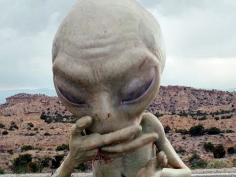 Youtube: PAUL - EIN ALIEN AUF DER FLUCHT (Simon Pegg, Nick Frost) | Trailer [HD]