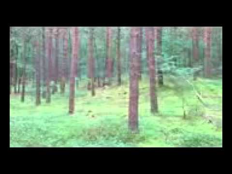 Youtube: Hügelgrab (??) Emsland