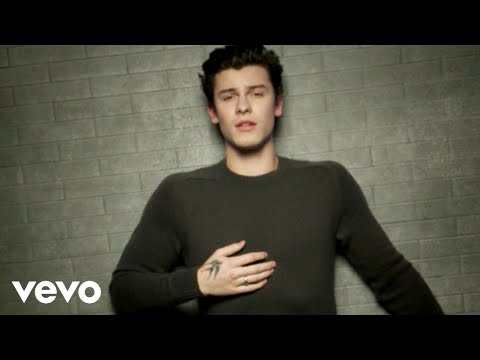 Youtube: Shawn Mendes - In My Blood (Official Music Video)