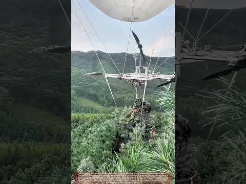 Youtube: Workers Hand-Pick Pine Cones on Balloon Lifted Platform