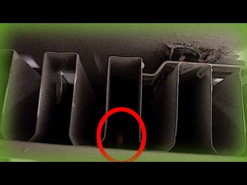 Youtube: Unknown Creature Living Behind Radiator