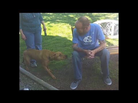 Youtube: Dog Doesn't Recognize Owner After Weight Loss...Until He Sniffs Him