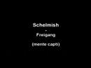 Youtube: Schelmish - Freigang