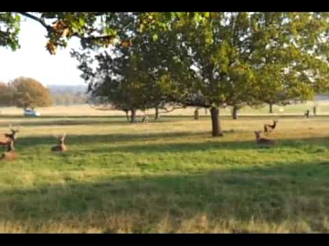 Youtube: JESUS CHRIST IN RICHMOND PARK: ORIGINAL UPLOAD