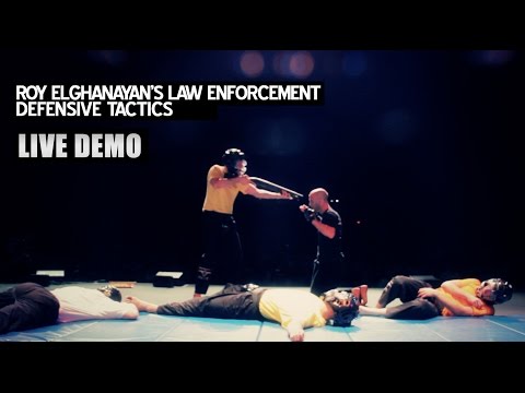 Youtube: Roy Elghanayan's Law Enforcement Krav Maga Live Demo!