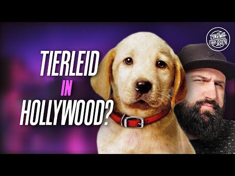 Youtube: Werden in Hollywood wirklich keine Tiere verletzt?