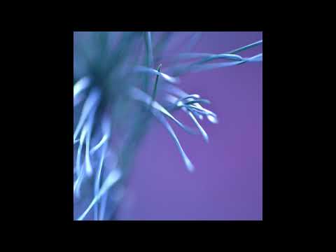 Youtube: Ness - The Mist In Cherni Vrah [TGP11]