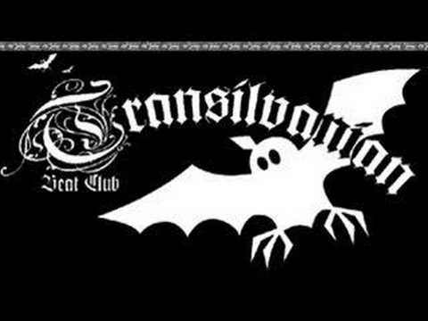 Youtube: Transilvanian Beat Club - Das Leben Soll Doch Schoen Sein