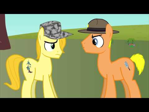 Youtube: Private Fluttershy - FOB Equestria Presents (animation by ZeBalas)