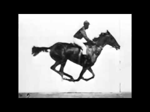Youtube: Sallie Gardner at a Gallop (1878)
