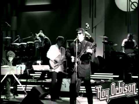 Youtube: Roy Orbison - "Ooby Dooby" from Black and White Night