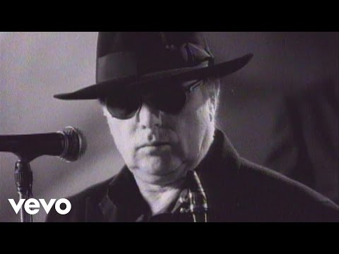 Youtube: Van Morrison - Days Like This (Official Video)