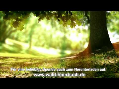 Youtube: Wenn der Wald spricht - 6. Kapitel - Liebe