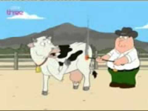 Youtube: Family Guy - SM Kuh