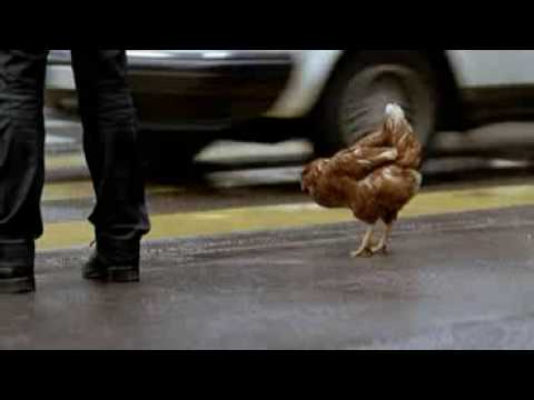 Youtube: Ein Huhn macht sich auf den Weg Migros