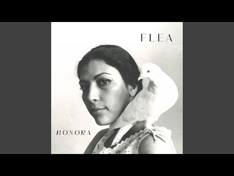 Youtube: Traffic Lights (feat. Thom Yorke)