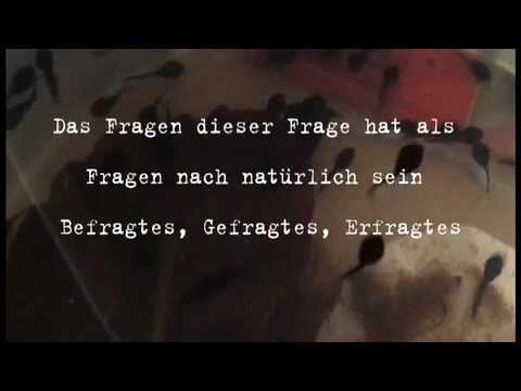 Youtube: Heidegger - Pigor & Eichhorn - Vol 7