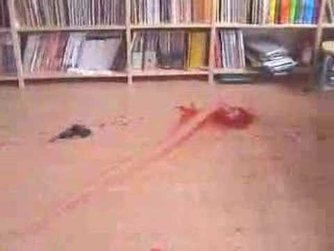 Youtube: Karl Nagels politischer Selbstmord 2001