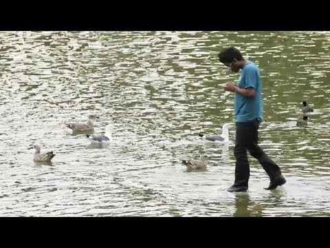 Youtube: Der Mann, der übers Wasser geht