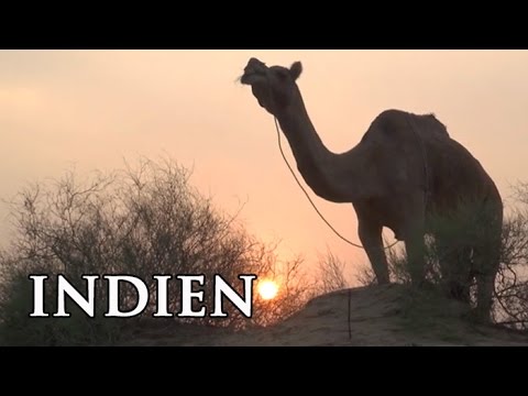 Youtube: Rajasthan: Das Reich der Maharadschas - Reisebericht