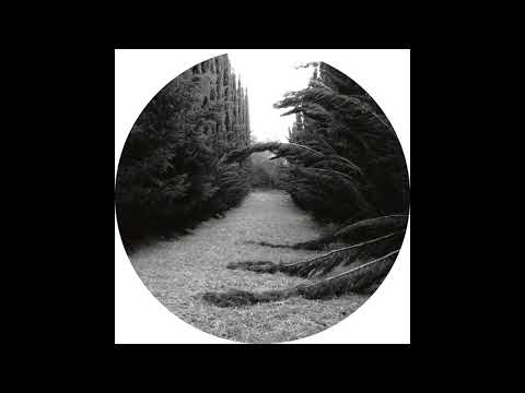 Youtube: Ladan - Spectres [SUBL01]