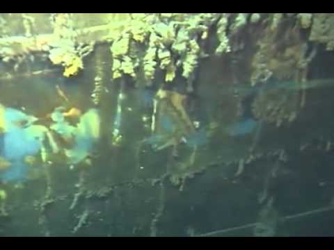 Youtube: "TITANIC NAME" in Titanic´s wreck