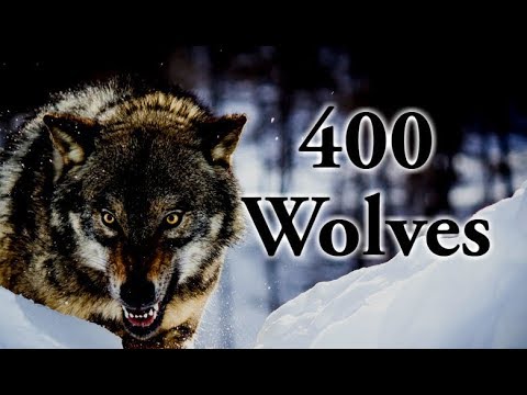 Youtube: Legends of Nature: Super Pack of 400 Wolves