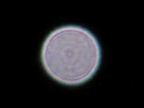 Youtube: Zoom in on Venus   50x Optical Zoom