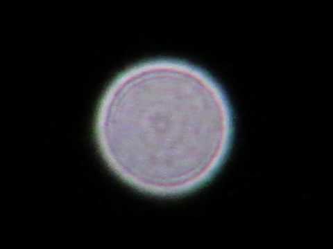 Youtube: Zoom in on Venus 50x Optical Zoom