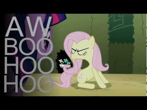 Youtube: [PMV] Assertive Fluttershy -  Boo Hoo (Silva Hound Remix)