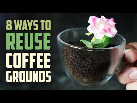 Youtube: 8 Smart Ways to Reuse Coffee Grounds