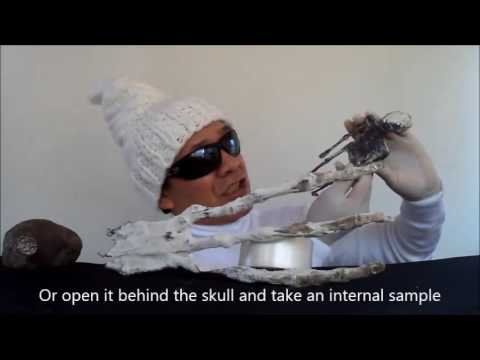 Youtube: GIANT ASSEMBLED ALIEN HAND CLAW - Nasca mummy - Momias armadas de Nazca (Oficial video)