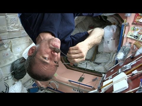 Youtube: Astronaut Chris Hadfield and Chef David Chang Test Gourmet Space Food