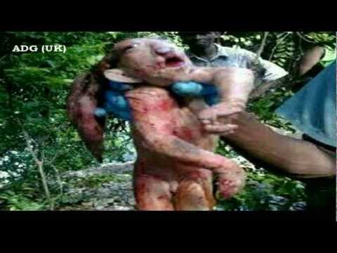 Youtube: Weird Muppet Creature Captured In Africa 2012 HD