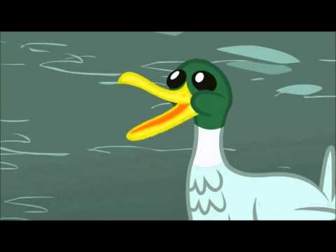 Youtube: Duck