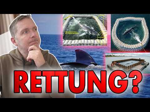 Youtube: RETTUNG für WAL? Rettungskonzept(e) vorgestellt. So könnte es gehen!? Wann wird gehandelt?