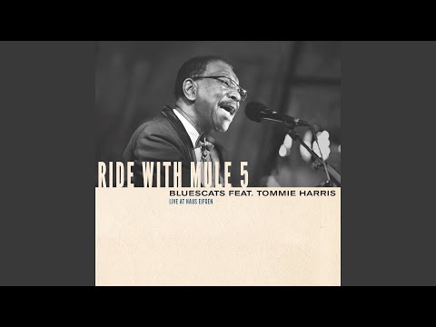Youtube: Who's Been Talking (feat. Tommie Harris) (Live)