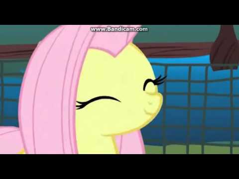 Youtube: Fluttershy Party French!