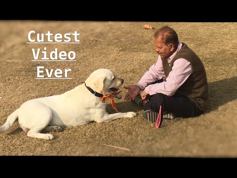 Youtube: Dad Who Didn't Want The Dog But Now.... Inseparable