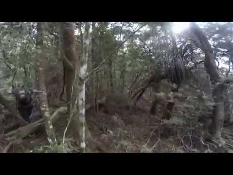 Youtube: Yowie Jumps Between Two Trees On Top Of The Mountain