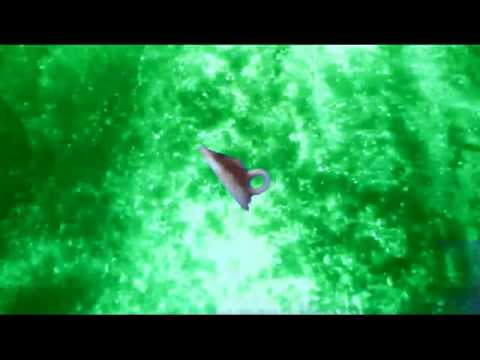 Youtube: Ufos über Torfmoorholm