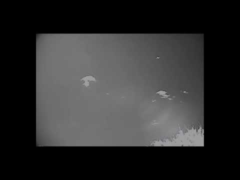 Youtube: UFO Follows Airliner out of Winnipeg