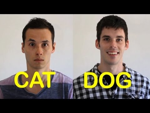 Youtube: Cat-Friend vs Dog-Friend 2